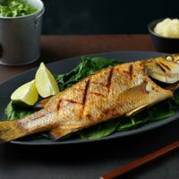 Barramundi-fish